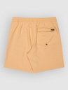 Quiksilver Taxer Amphibian 18 Boardshorts