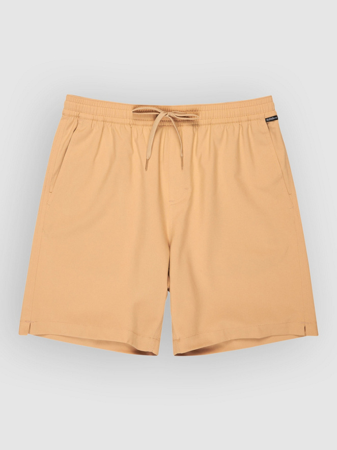 Quiksilver Taxer Amphibian 18 Boardshorts