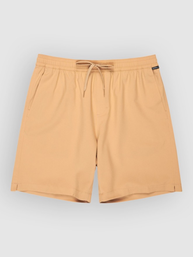 Quiksilver Taxer Amphibian 18 Boardshorts