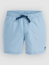 Quiksilver Everyday Deluxe Volley 15 Boardshorts