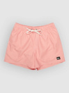 Quiksilver Everyday Deluxe Volley 15 Boardshorts