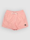 Quiksilver Everyday Deluxe Volley 15 Bañador