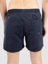 Quiksilver Everyday Solid Volley 15 Boardshorts