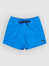Quiksilver Everyday Solid Volley 15 Boardshorts