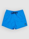 Quiksilver Everyday Solid Volley 15 Boardshorts