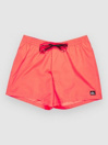 Quiksilver Everyday Solid Volley 15 Boardshorts