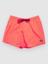 Quiksilver Everyday Solid Volley 15 Boardshorts