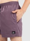 Quiksilver Everyday Solid Volley 15 Boardshorts
