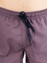 Quiksilver Everyday Solid Volley 15 Boardshorts