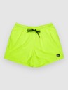Quiksilver Everyday Solid Volley 15 Boardshorts