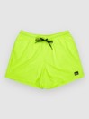 Quiksilver Everyday Solid Volley 15 Boardshorts