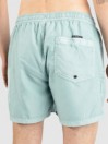 Quiksilver Everyday Surfwash Volley 15 Boardshorts