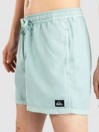 Quiksilver Everyday Surfwash Volley 15 Boardshorts