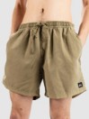 Quiksilver Everyday Surfwash Volley 15 Boardshorts