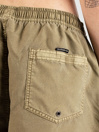 Quiksilver Everyday Surfwash Volley 15 Boardshorts