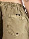 Quiksilver Everyday Surfwash Volley 15 Boardshorts