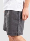 Quiksilver Taxer Ws Shorts