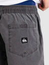 Quiksilver Taxer Ws Shorts