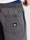 Quiksilver Taxer Ws Shorts