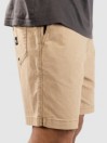 Quiksilver Taxer Ws Shorts