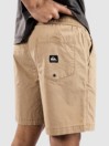 Quiksilver Taxer Ws Shorts