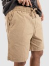 Quiksilver Taxer Ws Shorts