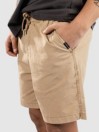 Quiksilver Taxer Ws Shorts