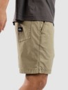 Quiksilver Taxer Ws Shorts