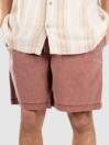 Quiksilver Taxer Ws Shorts