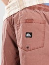 Quiksilver Taxer Ws Shorts