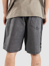 Quiksilver Taxer Global Heat Ws Shorts