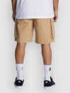 DC Tundra Cargo Pantalones Cortos