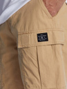 DC Tundra Cargo Shorts