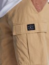 DC Tundra Cargo Shorts