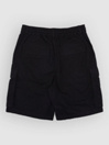 DC Tundra Cargo Shorts