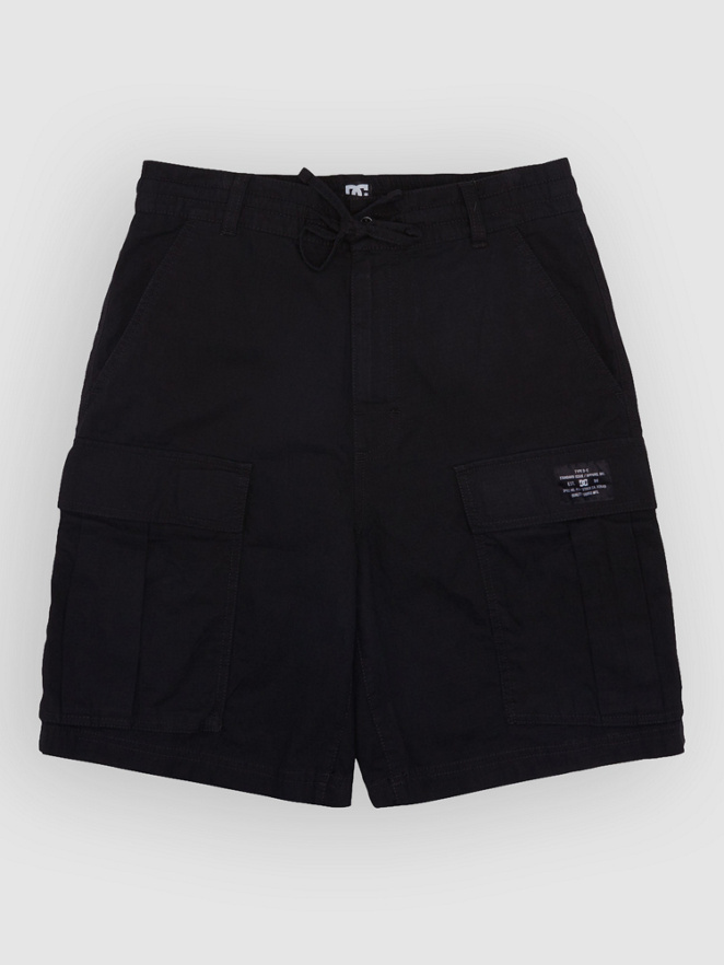 DC Tundra Cargo Shorts