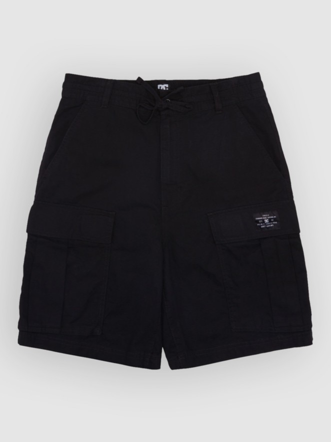 DC Tundra Cargo Shorts