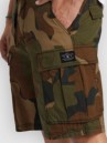 DC Tundra Cargo Shorts