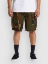 DC Tundra Cargo Shorts