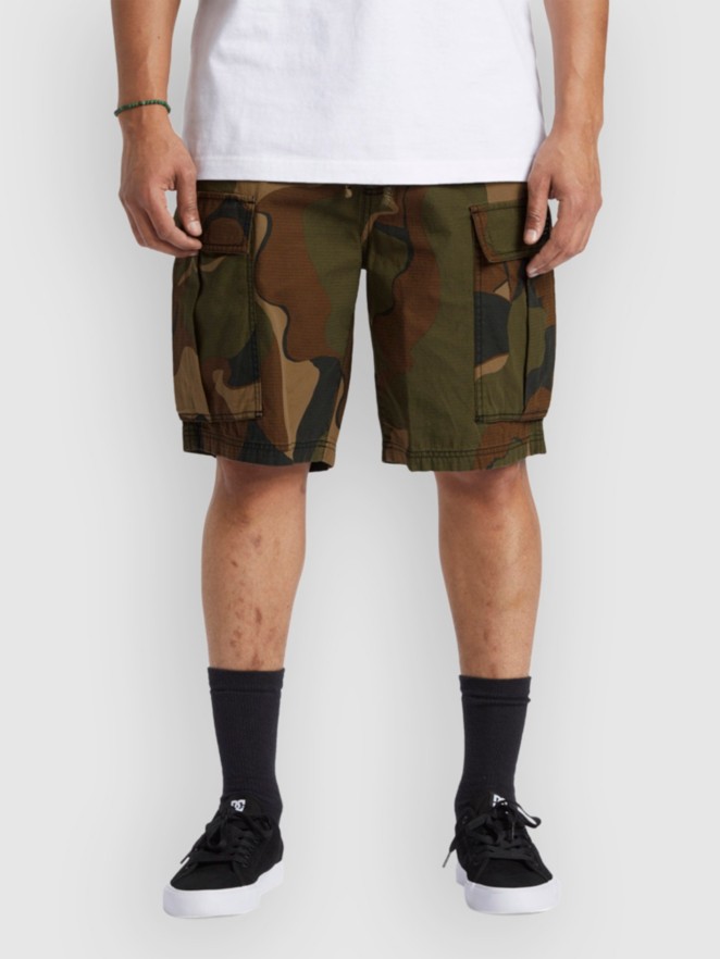 DC Tundra Cargo Shorts