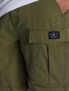DC Tundra Cargo Shorts