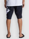DC Lanai 21 Boardshorts
