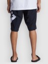 DC Lanai 21 Boardshorts