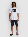 DC Lanai 21 Boardshorts