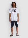 DC Lanai 21 Boardshorts