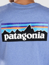 Patagonia P-6 Logo Responsibili T-Shirt