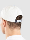 Patagonia P-6 Label Trad Cap
