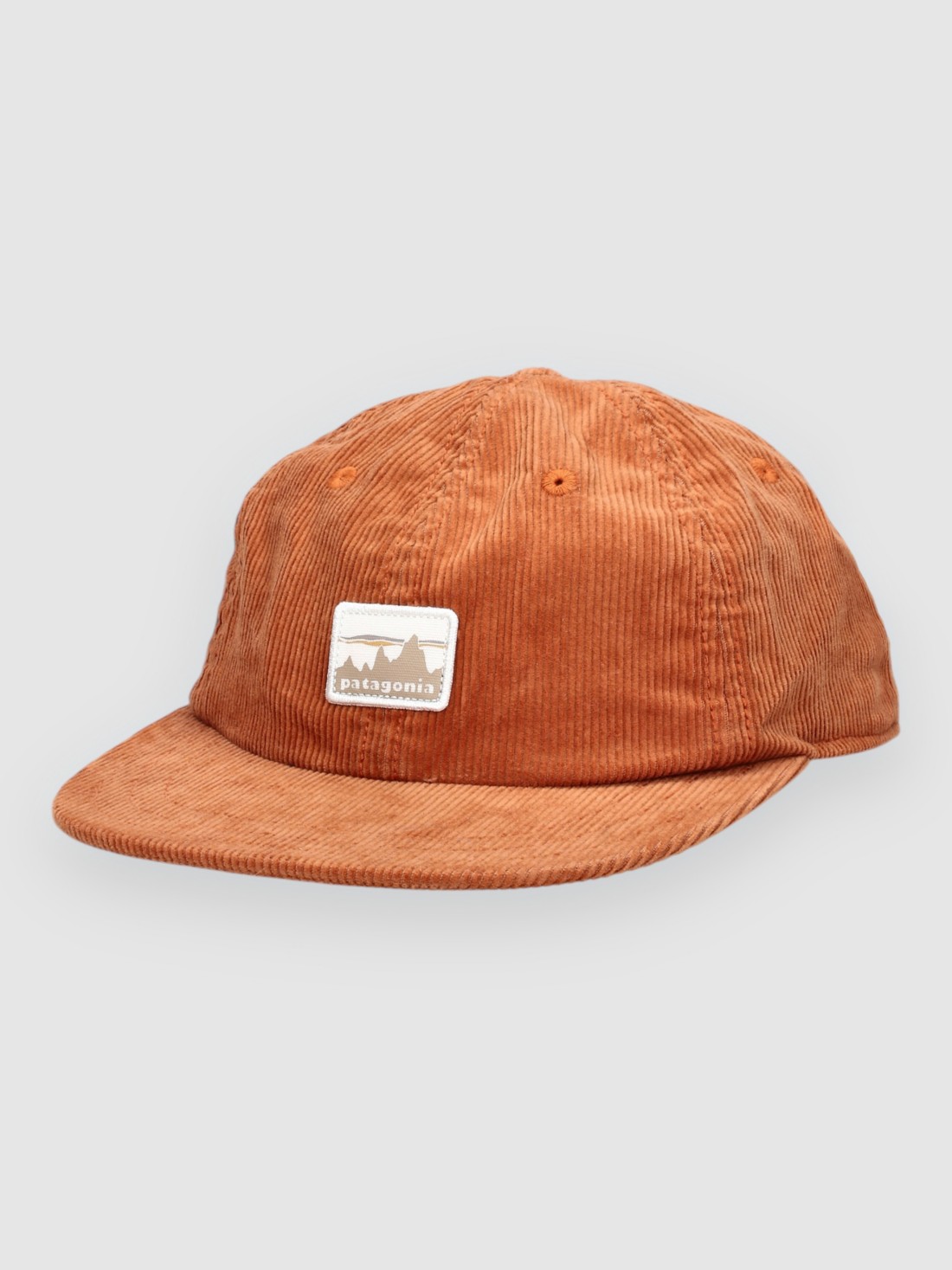 Patagonia Corduroy Cap robin brown