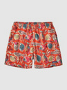 Patagonia Baggies - 5 In. Shorts