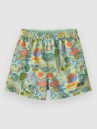Patagonia Baggies Kids Shorts
